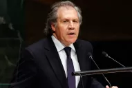 Desde la OEA aseguran que quien dio un golpe de estado en Bolivia fue Evo Morales