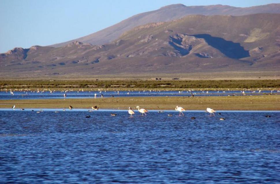 LAGUNA DE LOS POZUELOS, hogar de flamencos y reserva de la biósfera. 