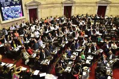 Con mayoría opositora, la Cámara de Diputados repudió el golpe de Estado en Bolivia