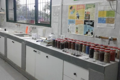 Soja: aconsejan que se realicen al menos dos test para determinar la calidad de la semilla