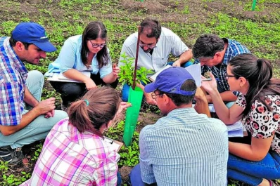 Monitorear los “yuyos” es fundamental
