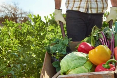 Productos de agricultura familiar serán comercializados en MercadoLibre