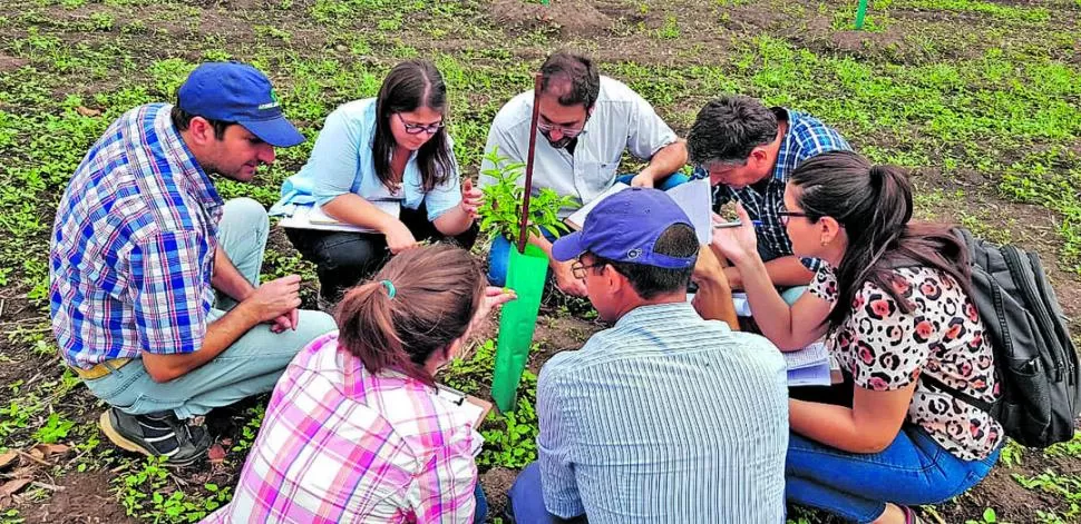 VIVENCIA. Con la explicación de un experto, cursillistas analizaron malezas.  