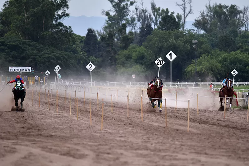 A TODA VELOCIDAD. Barba Negra, conducido por Sergio Alderete, logró una gran victoria en la sexta competencia.