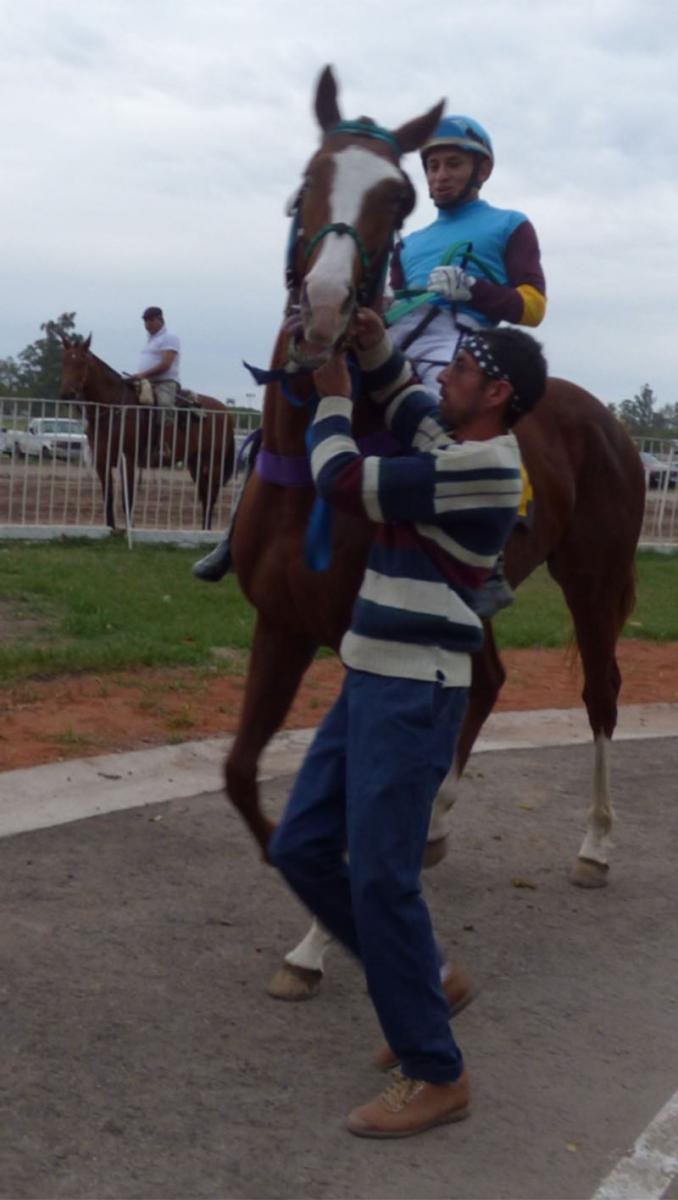 Turf: ER Bizcocho fue pura potencia