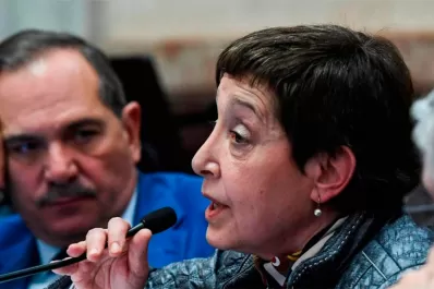 Alperovich y Mirkin integrarán el bloque de Cristina en el Senado