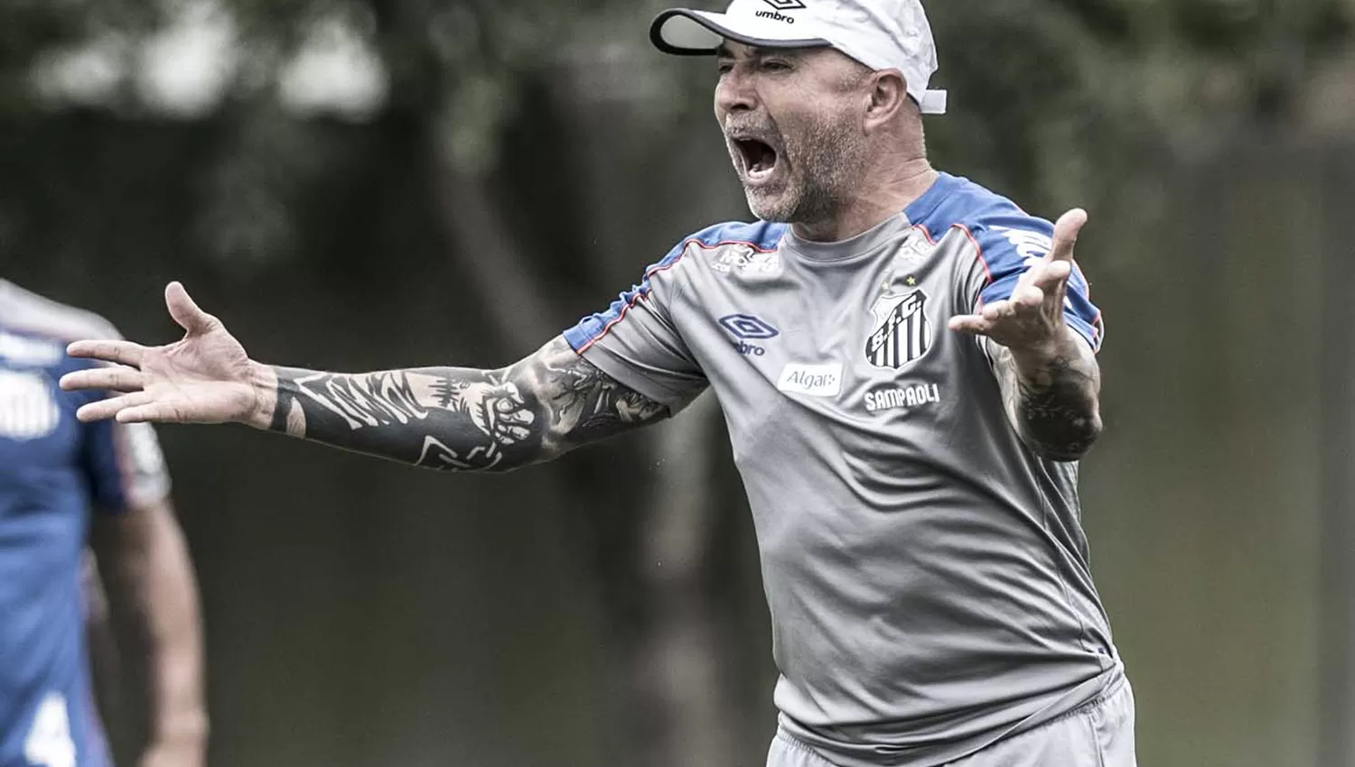 En cuanto se conoció el interés de Racing, hinchas del Santos le piden a Sampaoli que se quede en Brasil. (FOTO TOMADA DE TWITTER @SantosFC)