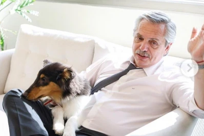 El nuevo perro de Alberto Fernández generó una catarata de memes
