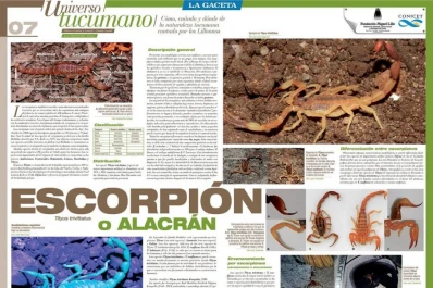 Nueva entrega de las láminas de “Universo Tucumano”