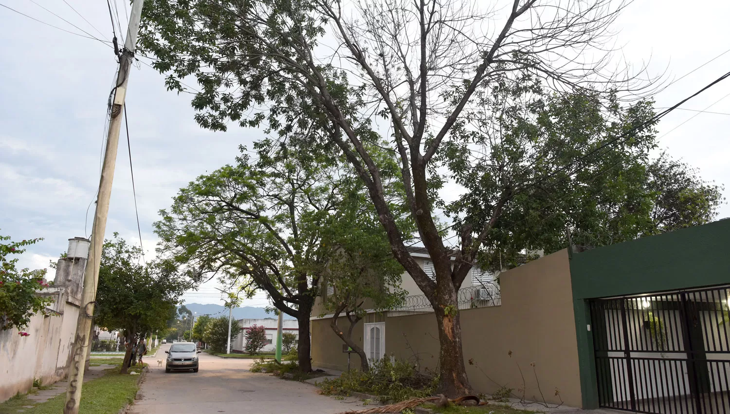 Más de dos años de espera