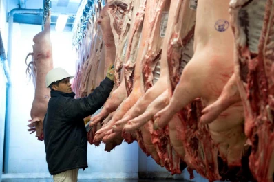 La carne de cerdo argentina debutó en el mercado chino