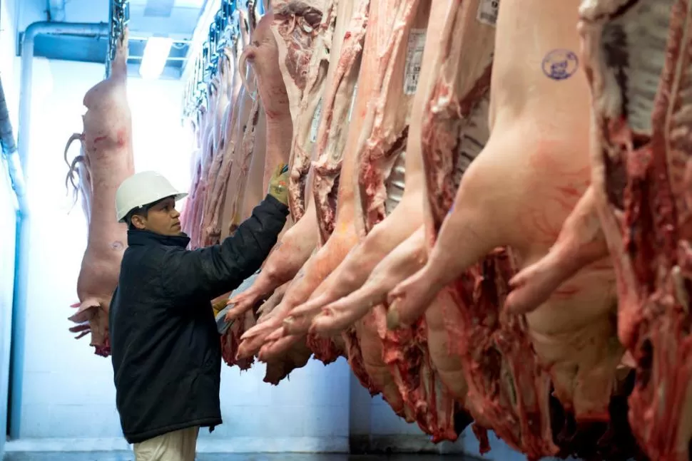 AL GIGANTE ASIÁTICO. Desde San Andrés de Giles partieron hacia China 26 toneladas de jamón y de paleta.  