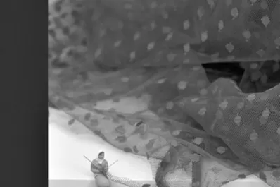 Novedades literarias