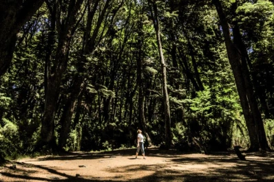 Hay un lugar, en Miramar, donde la gente se siente rodeada de misterio