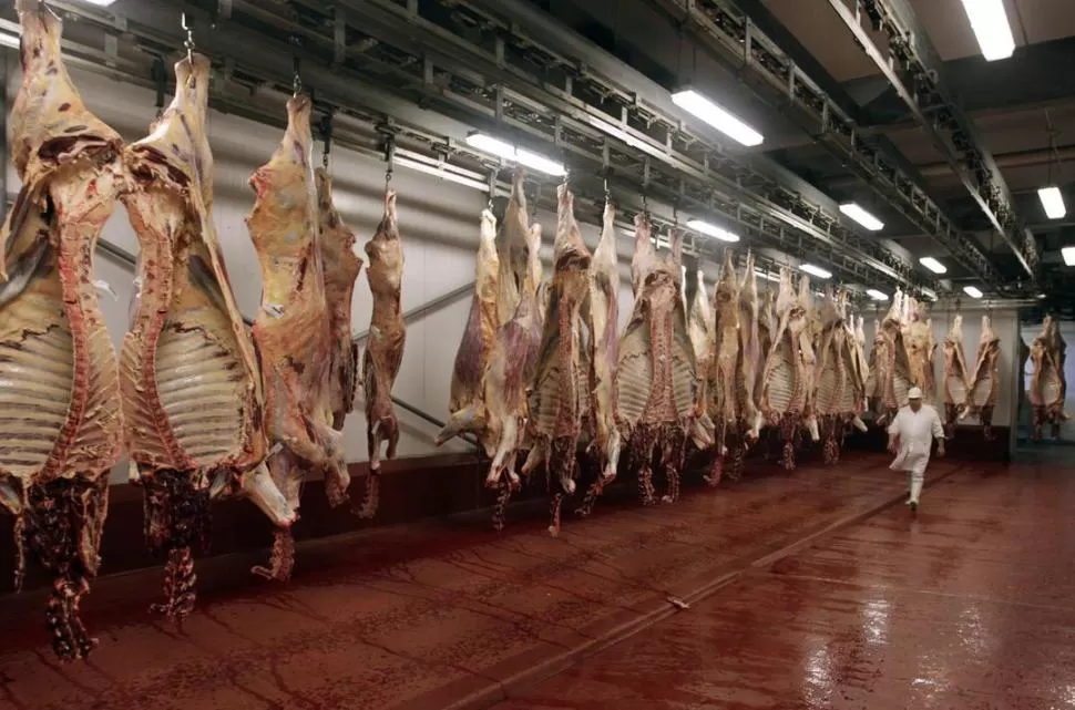 CARNE VACUNA. Un informe anticipa que en los meses de verano se producirá un faltante del producto. reuters 
