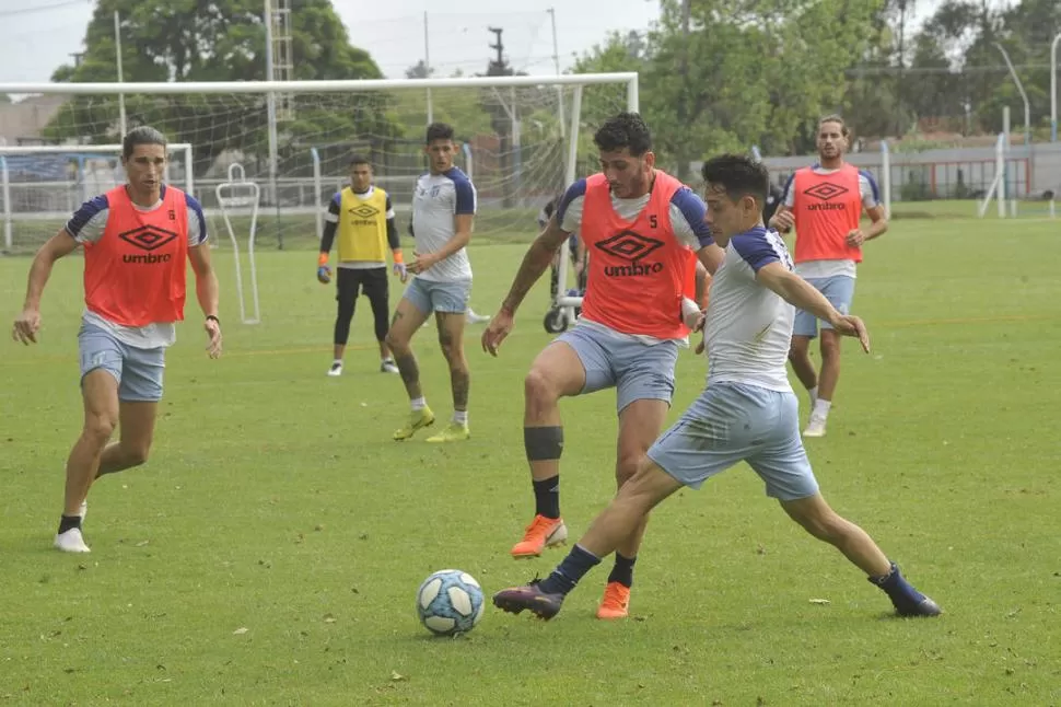 CAMBIA DE POSICIÓN. Castellani volvería a jugar como media punta. la gaceta / foto de hector peralta