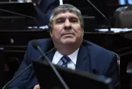 Mayans dijo que el pedido de licencia de Alperovich será ratificado por el pleno del Senado