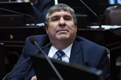 Mayans dijo que el pedido de licencia de Alperovich será ratificado por el pleno del Senado