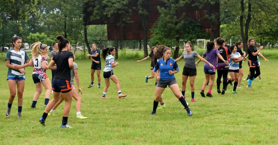 DETALLES. Los planteles definitivos de Tucumán (Mayor y Juvenil) tuvieron su última sesión de práctica en el anexo de Natación. Mañana por la noche partirán hacia Paraná, donde debutarán el sábado. la gaceta / Foto de José Nuno