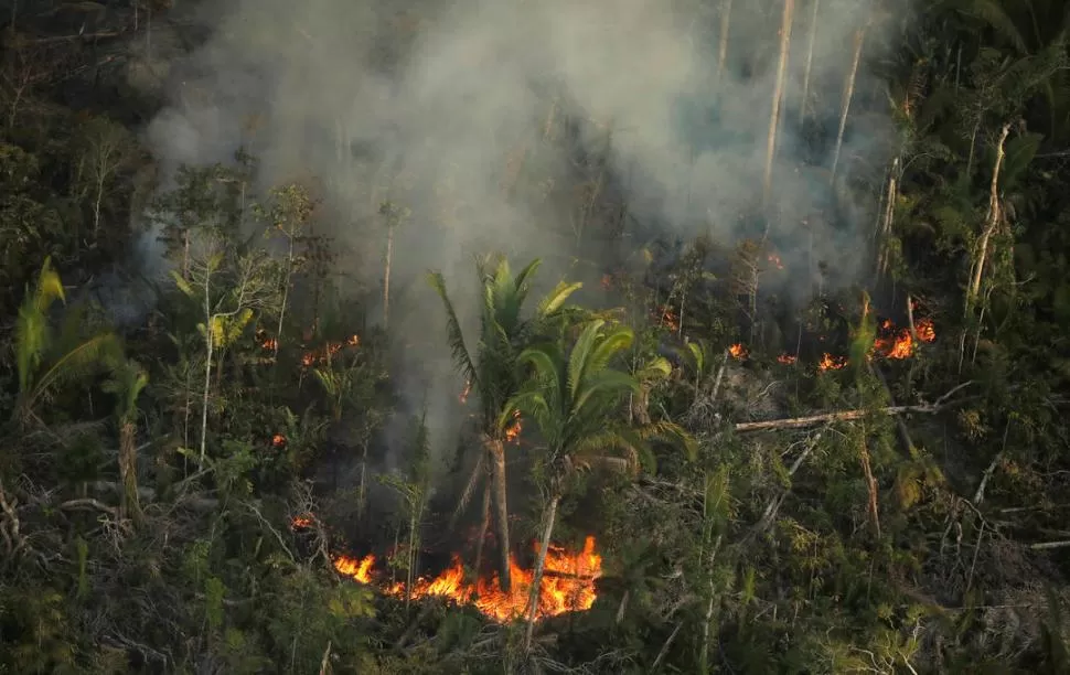 RESPUESTA. Bolsonaro culpó a ambientalistas por el fuego en la Amazonia. 