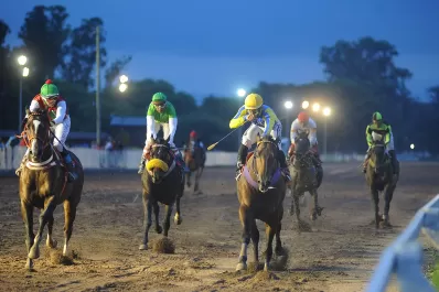 Turf: una conducción brillante