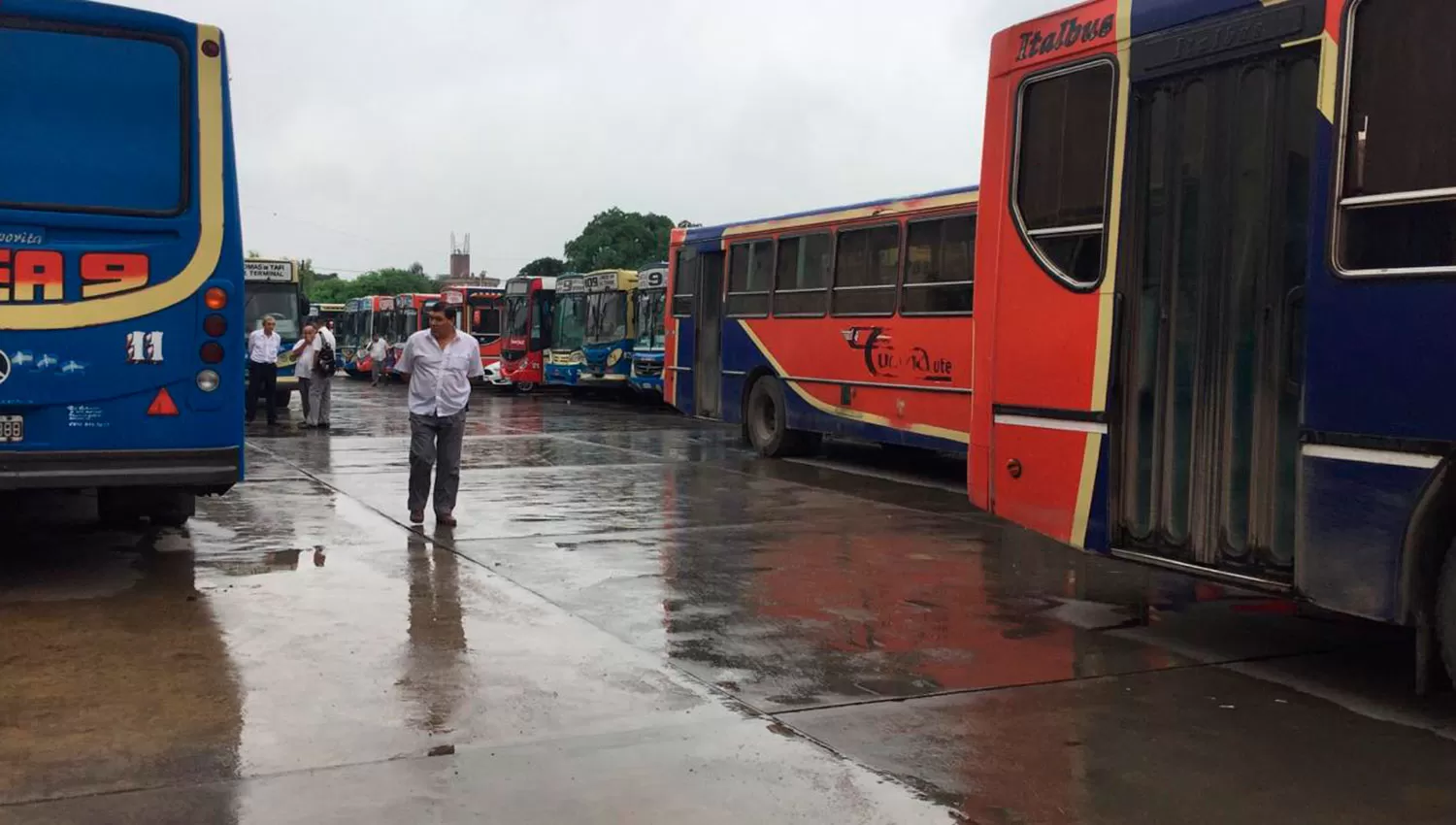 Las unidades de la empresa en la zona del estacionamiento.