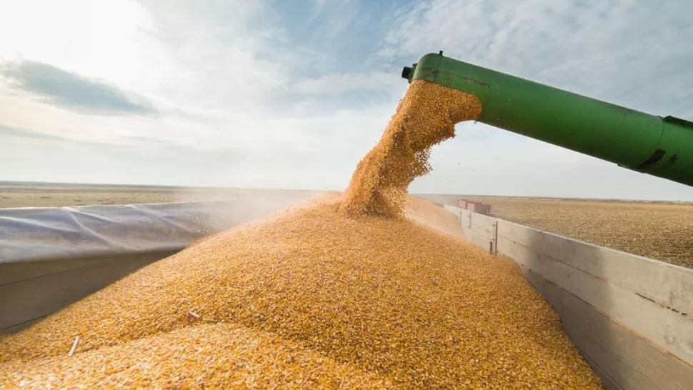 POR ESTRÉS FINANCIERO. El holding agroindustrial Vicentín, una de las 10 grandes exportadoras agrícolas, comenzó a reperfilar su deuda.  