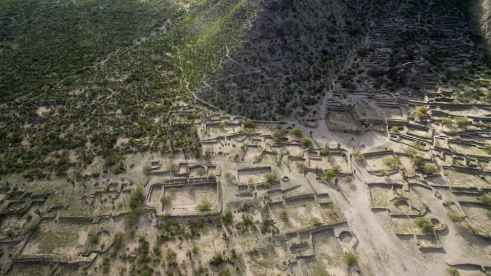  gentileza horizonte drones