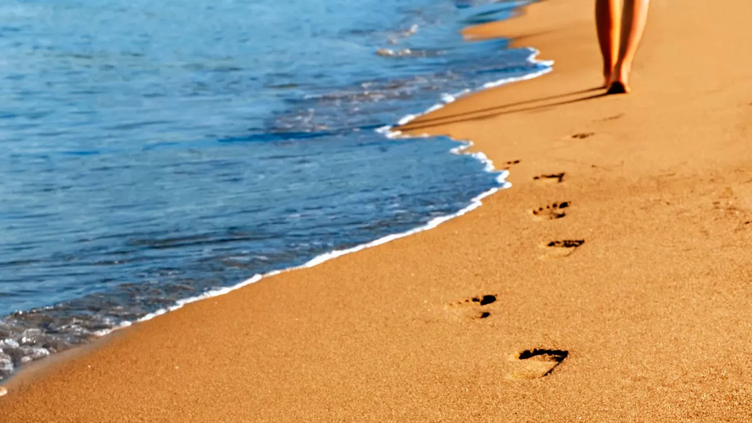 Calendario 2020: cuáles y cuántos feriados habrá el próximo año