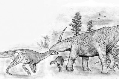 Paleontología argentina: un mundo fósil cuenta parte de la historia patagónica