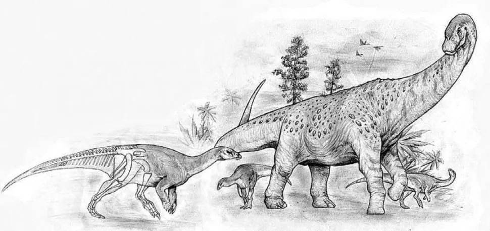 RECONSTRUCCIONES. El Isasicursor y el Nullotitan, que superaba los 20 metros de longitud.