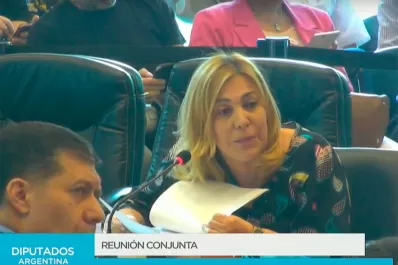 Ley de Emergencia: Beatriz Ávila propuso achicar los gastos de los poderes del Estado