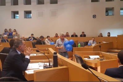 Cuáles son los cohetes prohibidos por la ordenanza sancionada por el Concejo