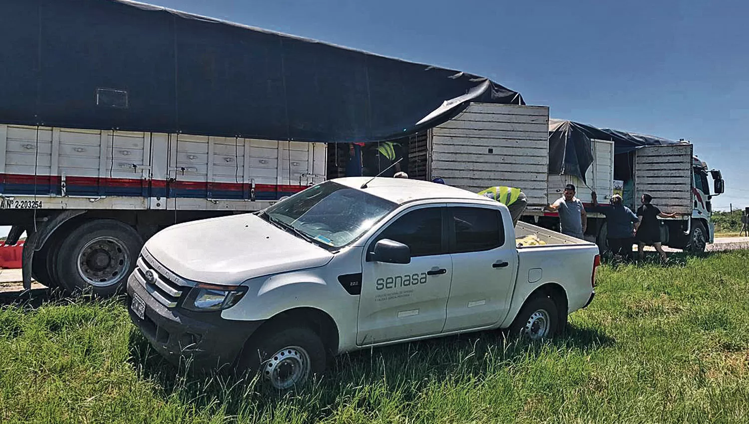 Senasa y Afinoa decomisan fruta transportada de manera irregular