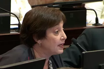 Mirkin rebatió a Elías de Pérez: ¿Dónde está el Plan Belgrano?