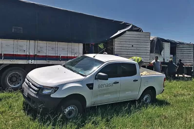 Senasa y Afinoa decomisan fruta transportada de manera irregular