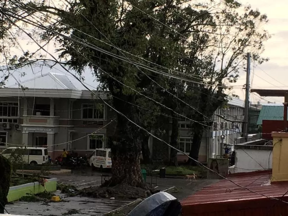 DESASTRE. Hubo casas destruidas, árboles caidos y cortes de energía.  REUTERS