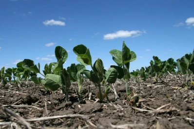 “El ministro está entendiendo que producir en el NOA no es como hacerlo en la zona núcleo”