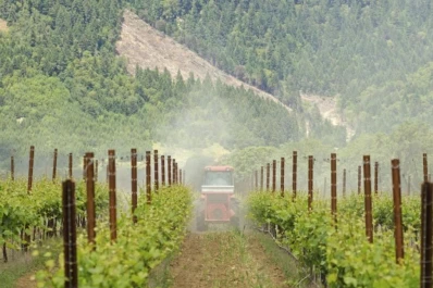 Agricultores franceses critican la nueva Ley de Agroquímicos por “ideológica”