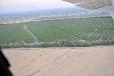 Las economías regionales despiden un duro año