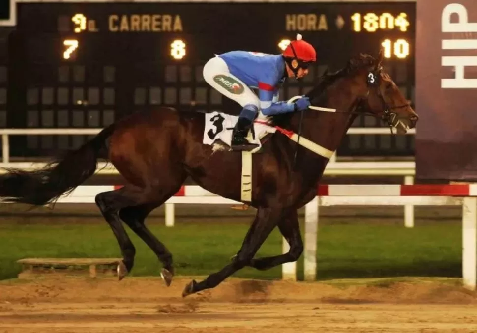SU ÚLTIMA VICTORIA. Enzo de Oro derrotó por tres cuerpos a Calcolatore en el tiempo de 2’90/100 para los 2.000 metros del clásico “Malvinas Argentinas”, en la pista de arena del hipódromo de Palermo. Foto: mHAPSA