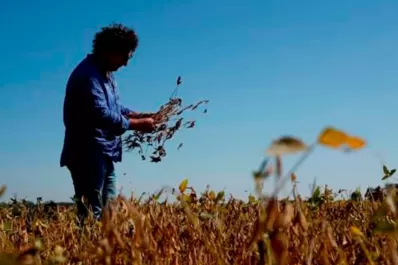 El año terminará sin lluvias en Tucumán y se espera un verano seco, pronosticó Minetti