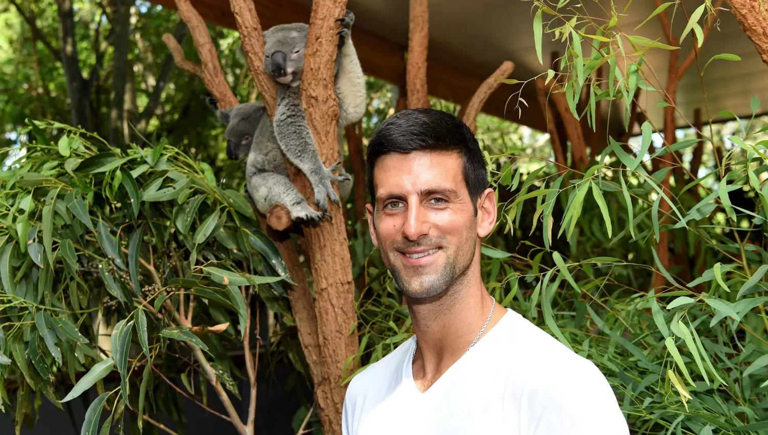 MERODEANDO EN BRISBANE. Djokovic y un koala, especie típica de Australia. 