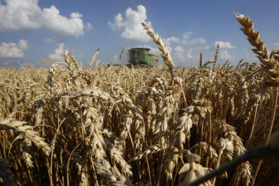 Las lluvias son insuficientes y la falta de humedad afecta la siembra
