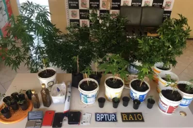 Un argentino detenido en Brasil acusado de plantar y vender marihuana en la playa