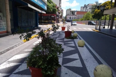Vandalismo con las plantas de una semipeatonal