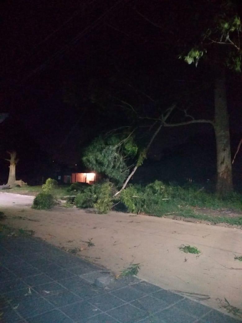 Los fuertes vientos en Tucumán provocaron voladura de techos, caída de árboles y postes