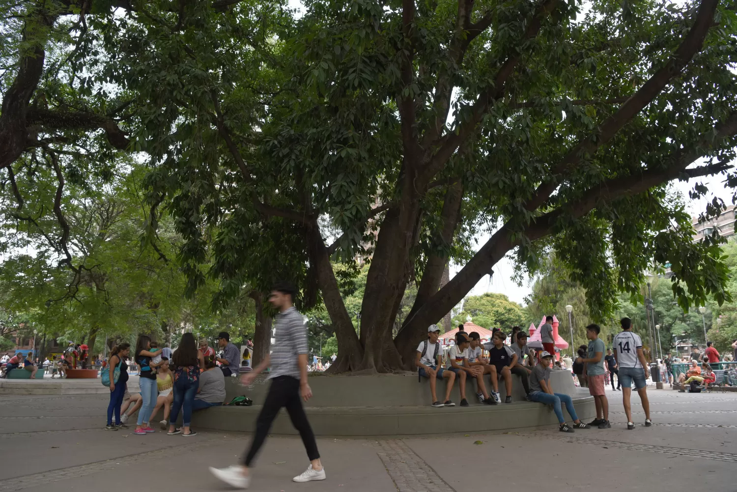 EN GRUPO. La plaza Urquiza es un punto de encuentro para amigos. LA GACETA / FOTOS DE DIEGO ARAÓZ