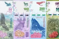 Billetes: hay fecha para la desaparición de los animales