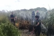 Susto de verano: se incendió una reserva en Mar del Plata